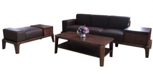 Bộ Sofa gỗ Hòa Phát SF509